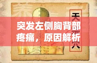 突发左侧胸背部疼痛，原因解析、诊断方法与治疗策略