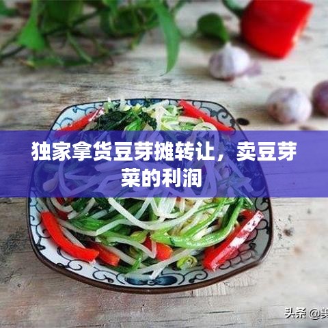 独家拿货豆芽摊转让，卖豆芽菜的利润 