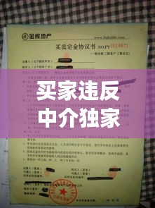 买家违反中介独家协议，卖家与中介签订了独家协议 