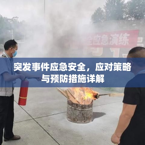 突发事件应急安全，应对策略与预防措施详解