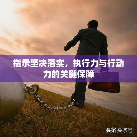 指示坚决落实，执行力与行动力的关键保障