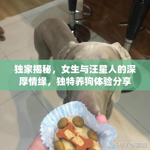 斗志昂扬