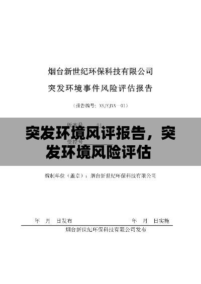 突发环境风评报告，突发环境风险评估 