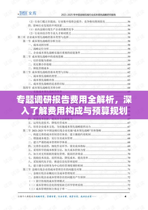 专题调研报告费用全解析，深入了解费用构成与预算规划