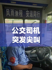 公交司机突发尖叫事件，公交车司机事件原因 