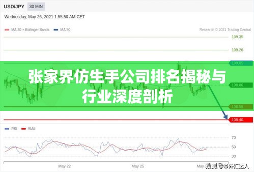 张家界仿生手公司排名揭秘与行业深度剖析