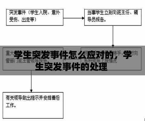 学生突发事件怎么应对的，学生突发事件的处理 