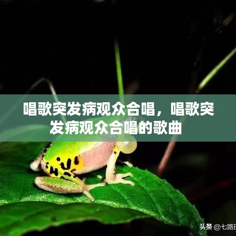 唱歌突发病观众合唱，唱歌突发病观众合唱的歌曲 