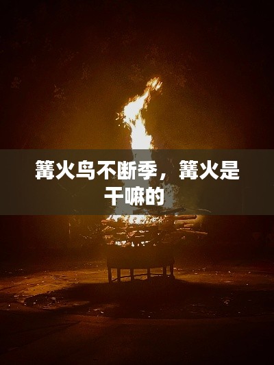 篝火鸟不断季，篝火是干嘛的 