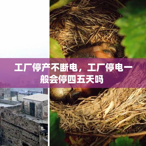 工厂停产不断电，工厂停电一般会停四五天吗 