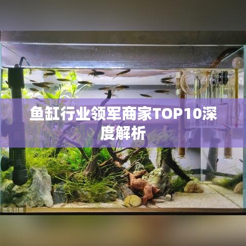 鱼缸行业领军商家TOP10深度解析