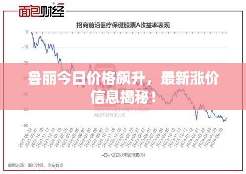 鲁丽今日价格飙升，最新涨价信息揭秘！