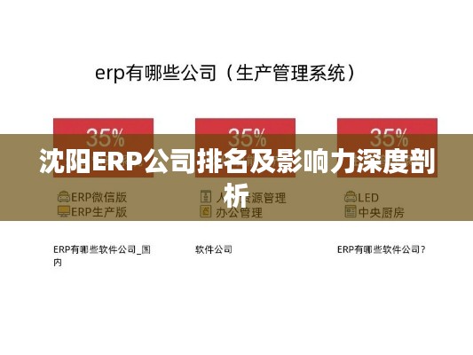 沈阳ERP公司排名及影响力深度剖析