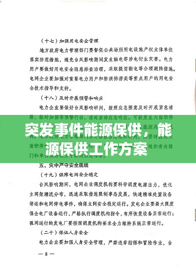 突发事件能源保供，能源保供工作方案 