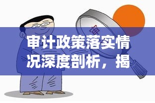 审计政策落实情况深度剖析，揭秘政策执行中的关键细节与问题所在