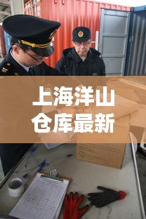 上海洋山仓库最新价格动态曝光