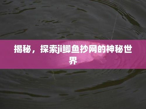 揭秘，探索ji鲫鱼抄网的神秘世界