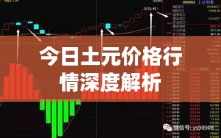 今日土元价格行情深度解析