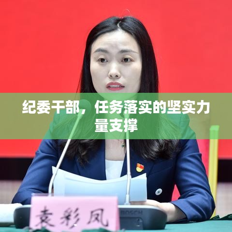 纪委干部，任务落实的坚实力量支撑