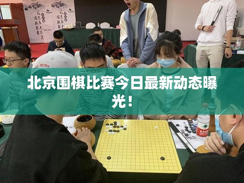 北京围棋比赛今日最新动态曝光！