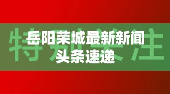 岳阳荣城最新新闻头条速递