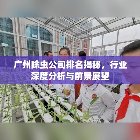 广州除虫公司排名揭秘，行业深度分析与前景展望