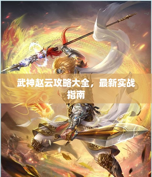 武神赵云攻略大全，最新实战指南