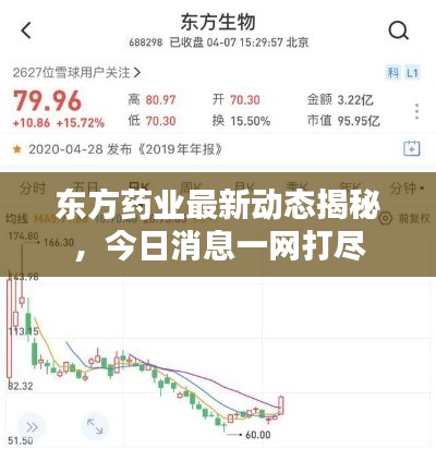 东方药业最新动态揭秘，今日消息一网打尽