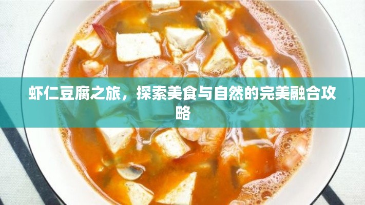 虾仁豆腐之旅，探索美食与自然的完美融合攻略