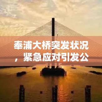 奉浦大桥突发状况，紧急应对引发公众高度关注