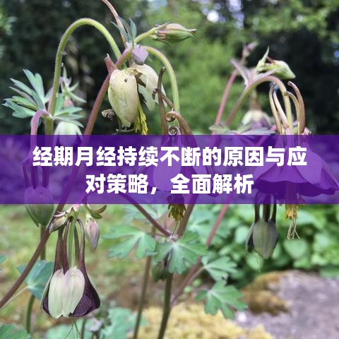 联系我们 第8页