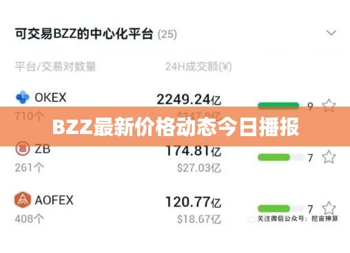 BZZ最新价格动态今日播报