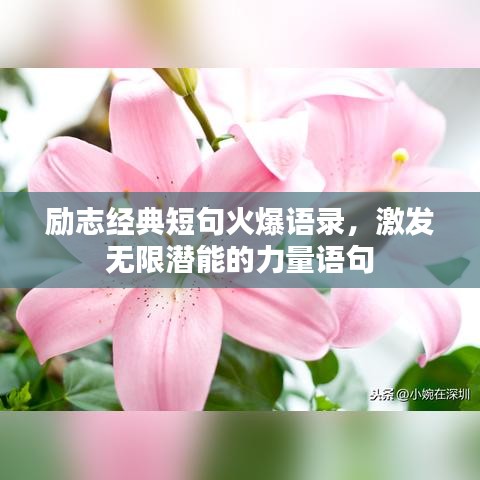 励志经典短句火爆语录，激发无限潜能的力量语句