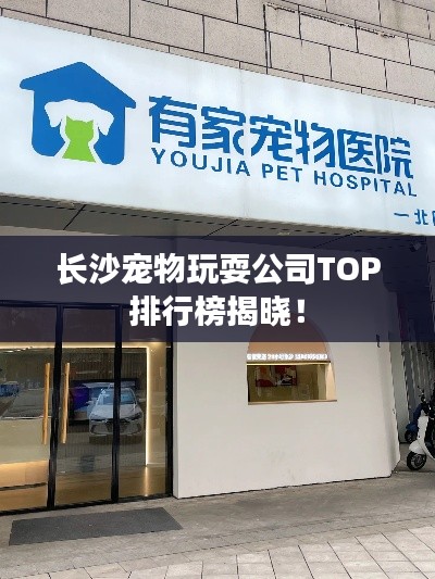 长沙宠物玩耍公司TOP排行榜揭晓！