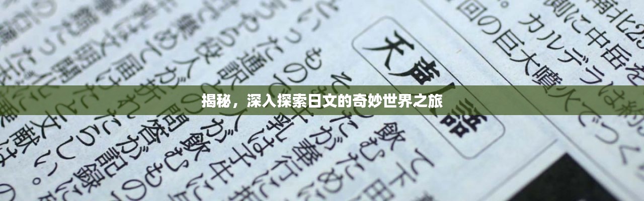 揭秘，深入探索日文的奇妙世界之旅