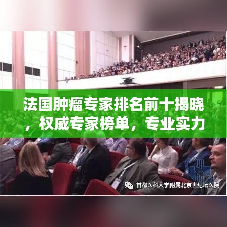 令行禁止