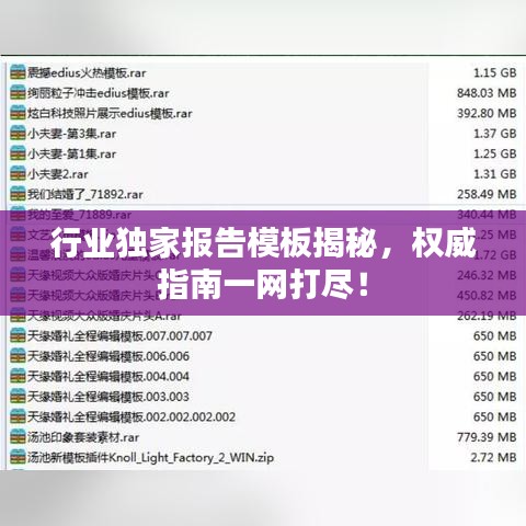 行业独家报告模板揭秘，权威指南一网打尽！