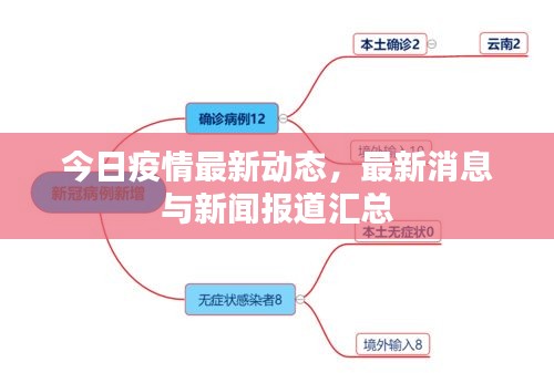 2025年1月20日 第4页