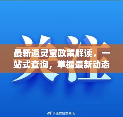 最新返灵宝政策解读，一站式查询，掌握最新动态