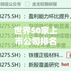 世界50家上市公司排名大揭秘，影响力深度解析
