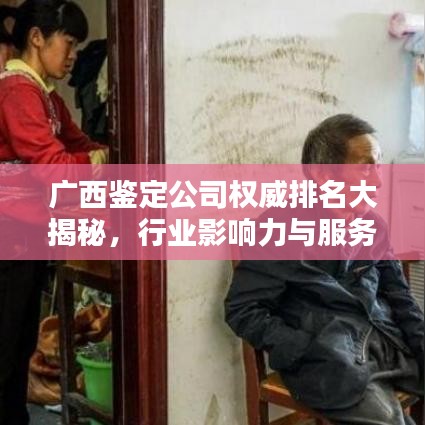 广西鉴定公司权威排名大揭秘，行业影响力与服务质量评估