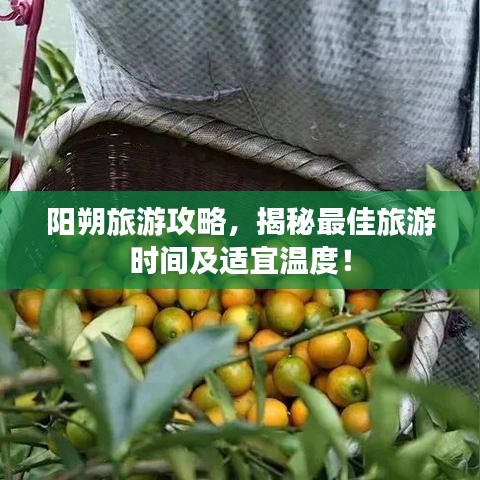 阳朔旅游攻略，揭秘最佳旅游时间及适宜温度！