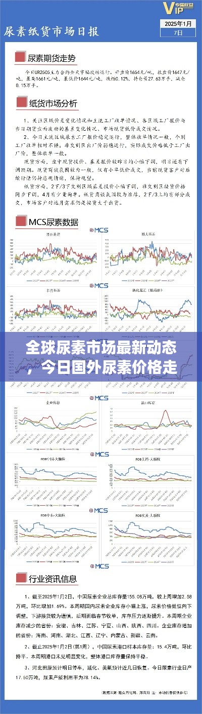 全球尿素市场最新动态，今日国外尿素价格走势分析