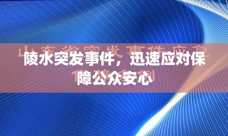 陵水突发事件，迅速应对保障公众安心