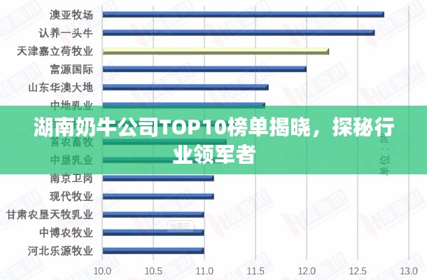 湖南奶牛公司TOP10榜单揭晓，探秘行业领军者