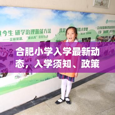 合肥小学入学最新动态，入学须知、政策解读一网打尽！