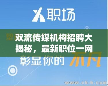 双流传媒机构招聘大揭秘，最新职位一网打尽