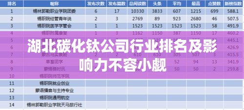 湖北碳化钛公司行业排名及影响力不容小觑