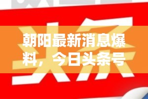 朝阳最新消息爆料，今日头条号独家披露！