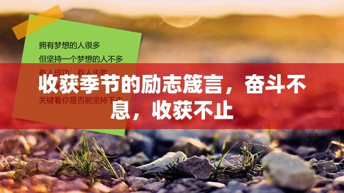 收获季节的励志箴言，奋斗不息，收获不止